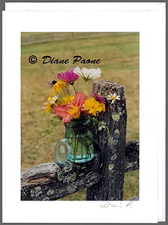 Peace: Woodstock Note Cards