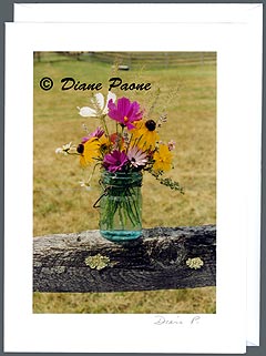 Love: Woodstock Note Cards